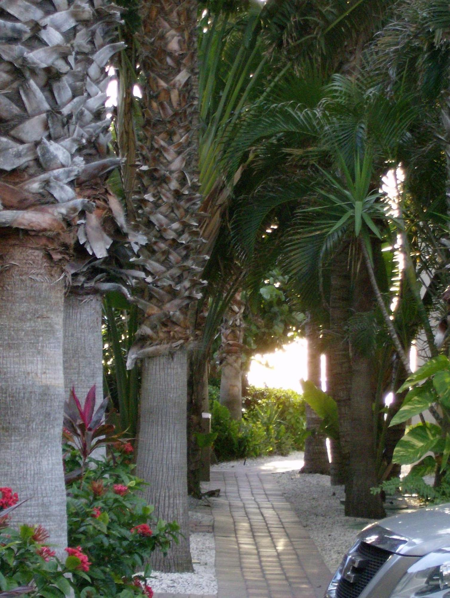 Turtle Crawl Inn - Longboat Key Dış mekan fotoğraf